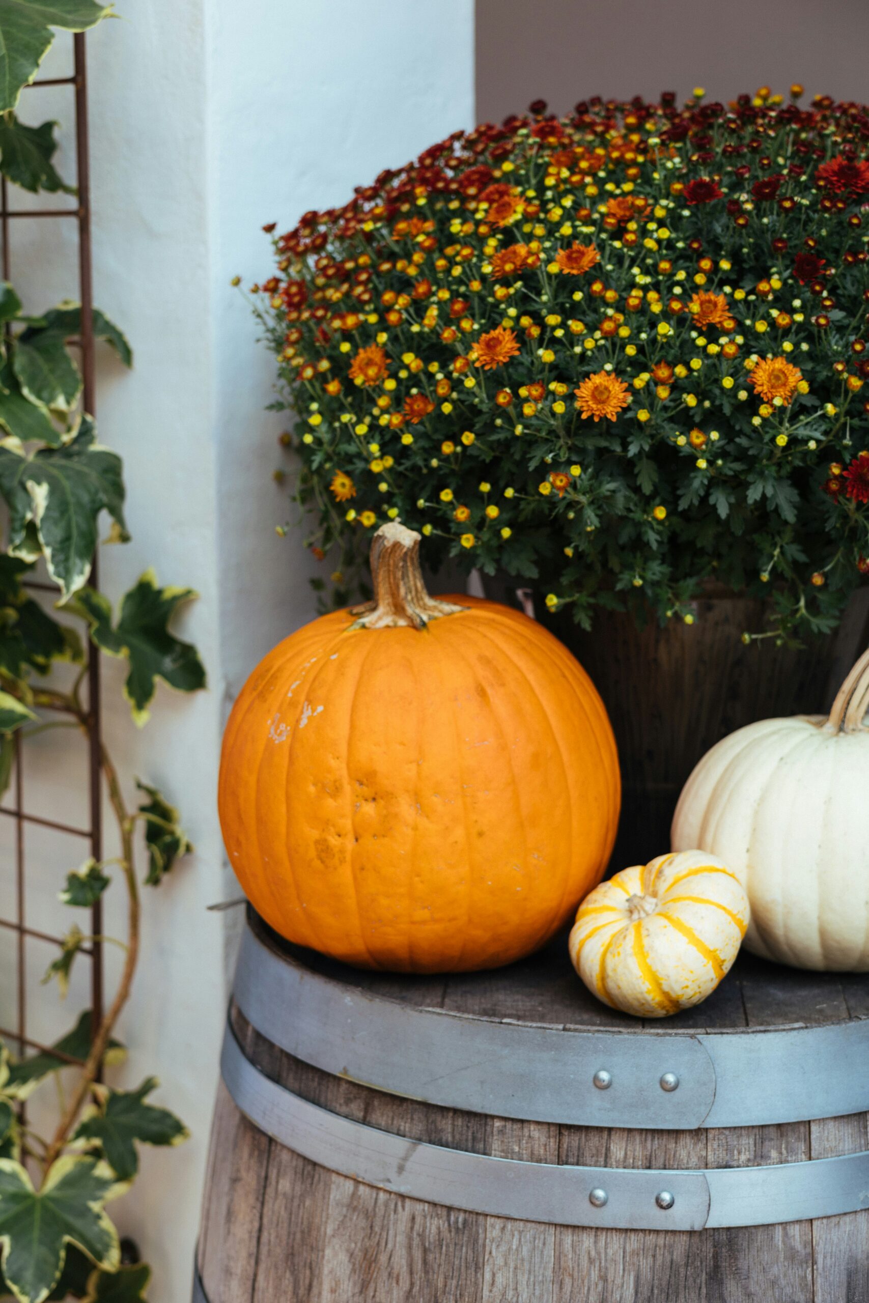 Ways to Make Your House Cozy for Fall Showings